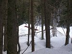 02 - La piccola baita di legno, in mezzo al bosco, è sommersa dalla neve  